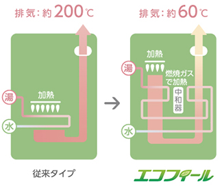 エコフィール